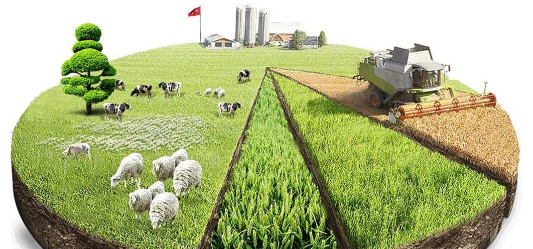 Çiftçi Kayıt Sistemi Başvuruları 30 Haziran 2022’de Sona Eriyor